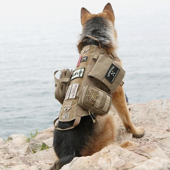 Tactical Dog Harness Adjustable Training Molle Vest with 3 Detachable Pouches